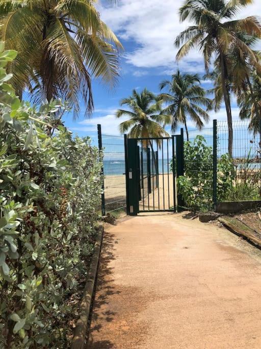 Soleiade Le Gosier - Acces Plage Exteriör bild